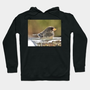 Seeds to Savour No.2 - Dark-Eyed Junco Hoodie